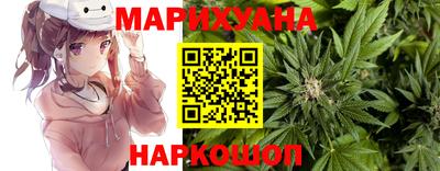 прущие грибы Шебекино