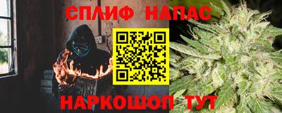 прущие грибы Шебекино