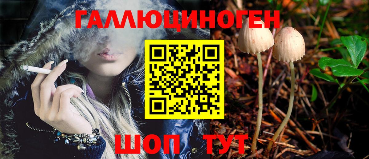 Псилоцибиновые грибы Cubensis  Вход с VPN  Пенза  Псилоцибиновые грибы Psilocybine cubensis 