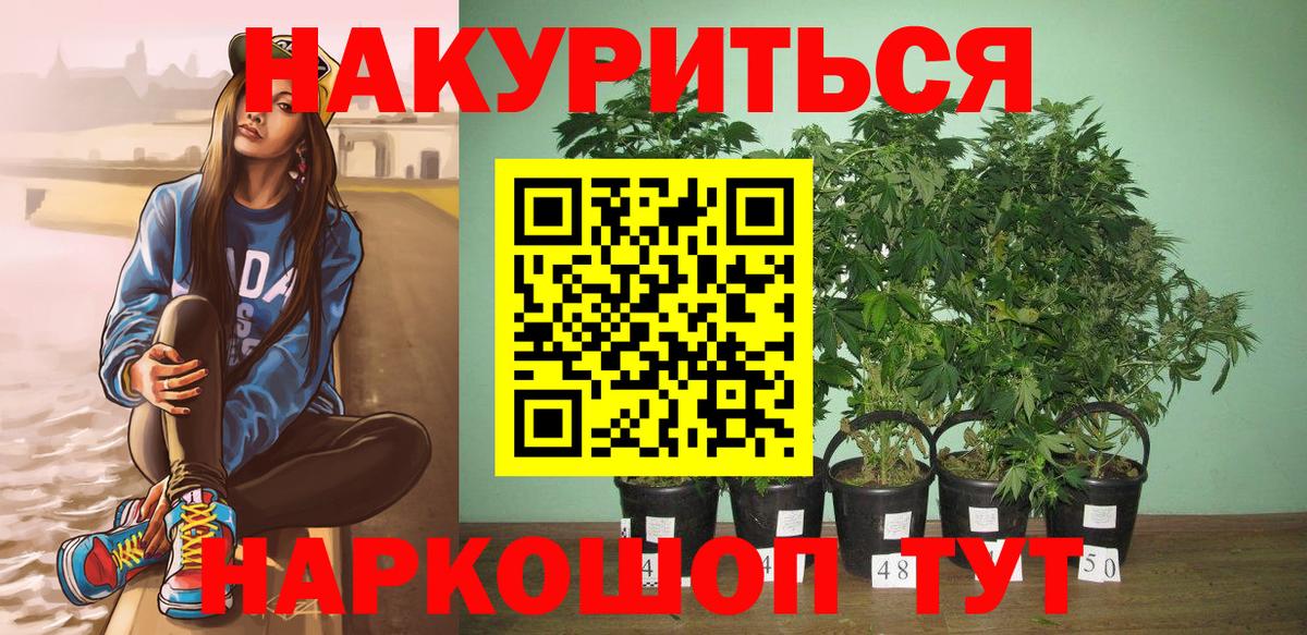Канабис SATIVA & INDICA Пенза